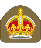 Warrant officer class 2