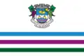 Flag of Caldas