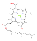 bacteriochlorophyll c