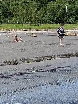 Route 138, beach, gulf of St Lawrence