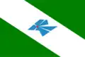 Flag of Parapuã
