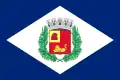 Flag of Rio Claro