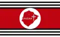 Flag of Caucaia