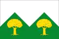 Flag of Montillana