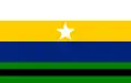 Flag of Páez Municipality