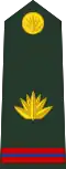 Master warrant officer
