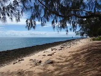 A beach scene on Bazaruto, with trees sheltering sands separated from the water by a line of rocks.