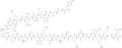 Chemical structure of beta-endorphin.