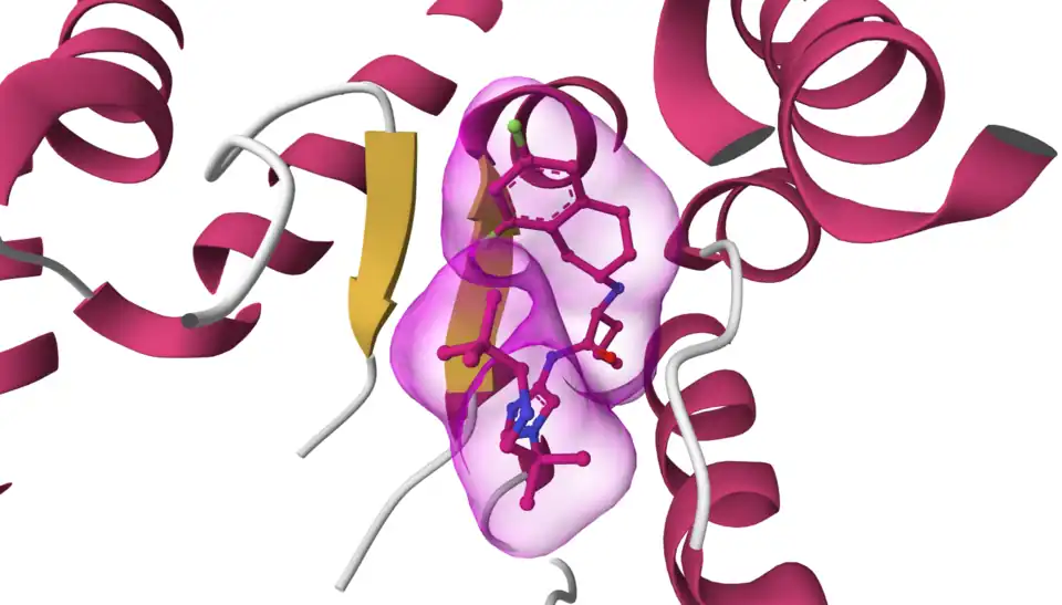 Beta-sheet (yellow) alingment of nirogacestat in persenilin 1 subunit