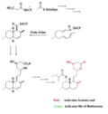 Biosynthesis using Diels-Alder catalyzed cyclization