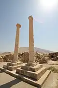 Bishapur memorial pillars