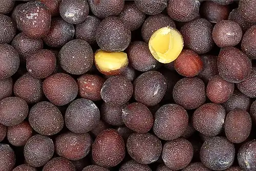 Close-up of black mustard seeds (each about 2–3 mm in diameter)