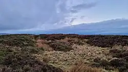 Round cairn on Bleara Moor