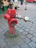 Coupling on a Belgian fire hydrant with a DSP connection to deliver water to an individual.