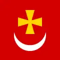 Flag of Borzna
