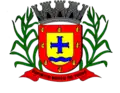Coat of arms of Espírito Santo do Turvo