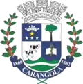 Official seal of Município de Carangola
