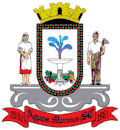 Official seal of Águas Mornas