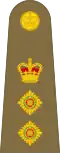 Colonel