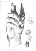 Drawing (1800) of a bronze hand found in 1771