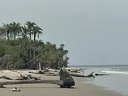 Praia de Bruce (Bruce Beach)