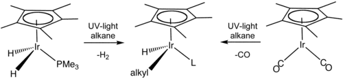 Skeletal formula presentation of a chemical transformation. The initial compounds have a C5H5 ring on their top and an iridium atom in the center, which is bonded to two hydrogen atoms and a P-PH3 group or to two C-O groups. Reaction with alkane under UV light alters those groups.