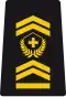 WO-3 - Master warrant officer