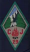 Insignia of CJF 29 - Team 4.