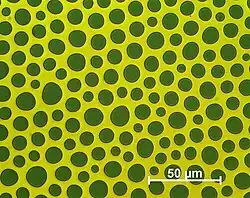Domain structure of an exemplary bubble domain (recorded using CMOS-MagView)