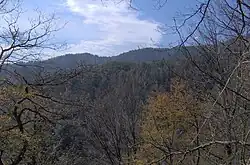 View of Camel Hump Ridge from the Snake Den Ridge Trail