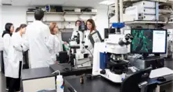 Researchers standing and discussing in an imaging facility/laboratory which is surrounded by advanced electron and various other microscopes