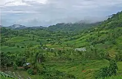 Mountain view showing a rice field in a rural area in Candoni
