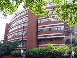 A round, six-story brick building with rows of windows. At its base, there are green bushes and a power line. In the foreground above, there are branches of a tree with green leaves.