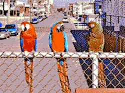 Composite artifact colors (from 320 × 200 palette 1)