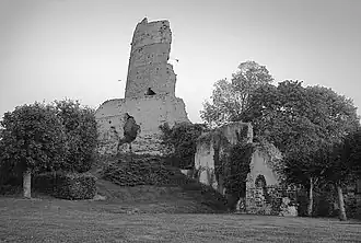 Ruins of the chateau of Mondoubleau