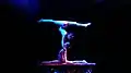 Gymnastic display