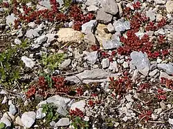In the Cirque de Gavarnie