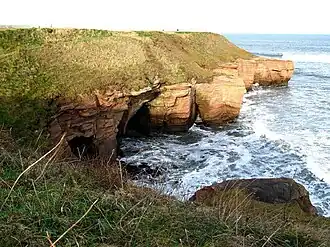 Cliffs from the Berwickshire Coastal Path