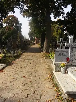 A cemetery's main avenue with well kept trees and graves.