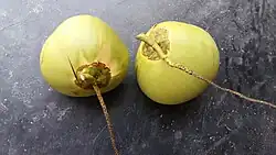 Two green coconuts, with the flower stalks still attached, placed on a flat surface