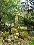 Fig. b16: the Cornish cross at Enys
