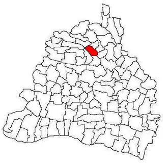Location in Dolj County