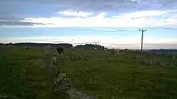 Stone circle with ominous cows