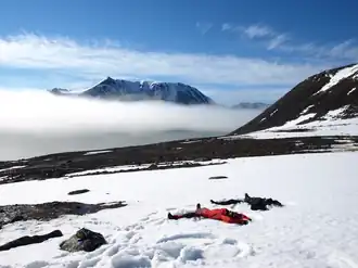 Making snow-angels on Danes Island on July 19, 2008.