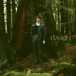 A man in a black top, trousers, and leather jacket standing afront trees in a forest. The lowercase text "daylight" stands on his left.