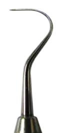 Curved tip of a small metal probe, tapering to a point.