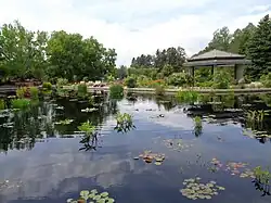 The Japanese Garden