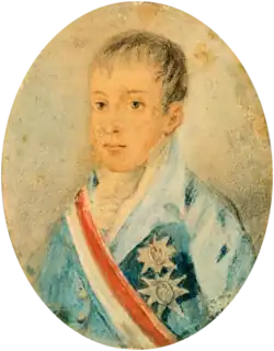 Painting showing the head and shoulders of a boy wearing a high collar and a coat adorned with medals and a striped sash of office
