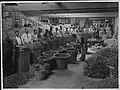 Large line of men sorting gum resin, surrounded by baskets and loose piles of resin.