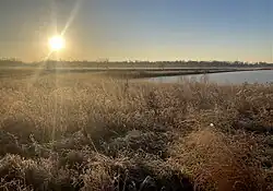 A photo of Eagle Marsh on a cold sunny morning, facing towards a pond and looking at frost covered grasses.